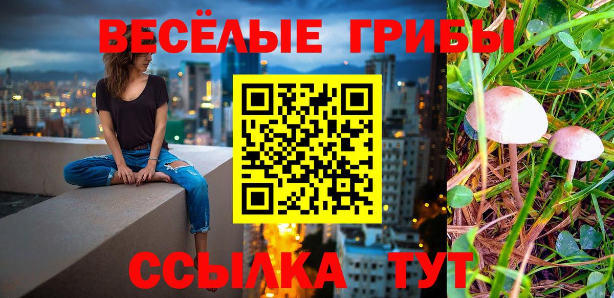 Псилоцибиновые грибы мухоморы Благодарный