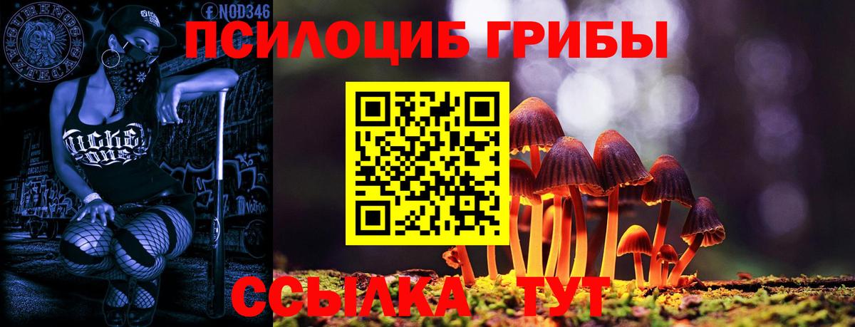 где купить наркоту  Галлюциногенные грибы Psilocybe  Вход с VPN  Благодарный 